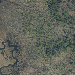 Satellite imagery of B99026 — NGS AJ5977 — Mount Tabor, US, US