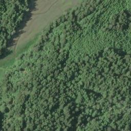 Satellite imagery of Younker Point, US