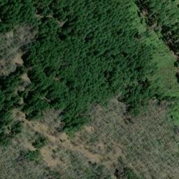 Satellite imagery of Loughs Mine, US