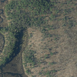 Satellite imagery of B99028 — NGS AJ5979 — Dorset, US, US