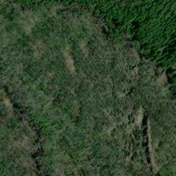 Satellite imagery of Cougar Bluffs, US