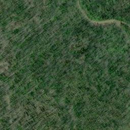 Satellite imagery of Cougar Bluffs, US