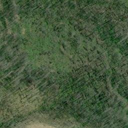 Satellite imagery of Cougar Bluffs, US