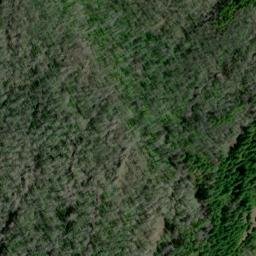Satellite imagery of Cougar Bluffs, US