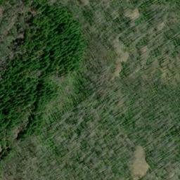 Satellite imagery of Cougar Bluffs, US