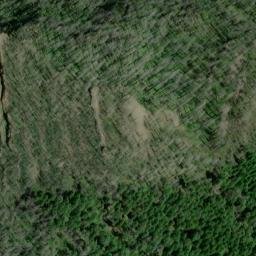 Satellite imagery of Panther Ridge, US