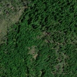 Satellite imagery of Panther Ridge, US