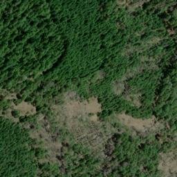 Satellite imagery of Panther Ridge, US