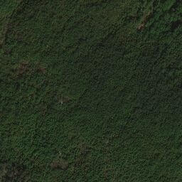 Satellite imagery of Brljevci, BA