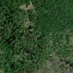 Satellite imagery of Panther Ridge, US