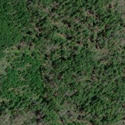 Satellite imagery of Panther Ridge, US