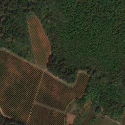 Satellite imagery of Brljevci, BA