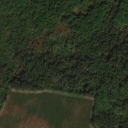 Satellite imagery of Brljevci, BA