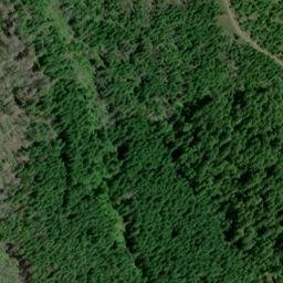 Satellite imagery of Panther Ridge, US