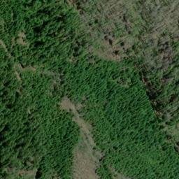 Satellite imagery of Panther Ridge, US
