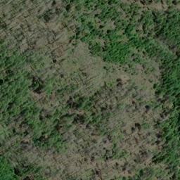 Satellite imagery of Panther Ridge, US