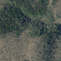 Satellite imagery of B99029 — NGS AJ5980 — Dorset, US, US