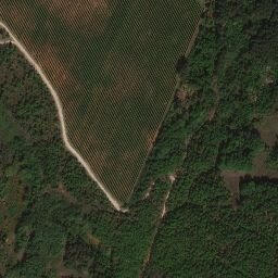 Satellite imagery of Brljevci, BA