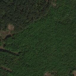 Satellite imagery of Brljevci, BA