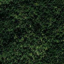 Satellite imagery of Ciganski Brdo, RS