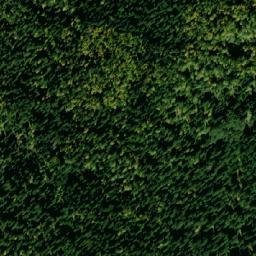 Satellite imagery of Ciganski Brdo, RS