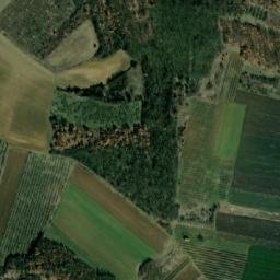 Satellite imagery of Žuta Šunka, RS