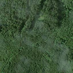 Satellite imagery of Blue Ridge, US