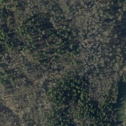 Satellite imagery of B99031 — NGS AJ5982 — Dorset, US, US