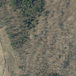 Satellite imagery of B99031 — NGS AJ5982 — Dorset, US, US