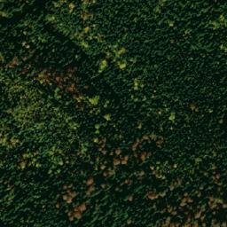 Satellite imagery of Sedlo, RS