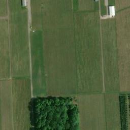 Satellite imagery of Palatine Hill, CA
