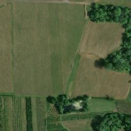 Satellite imagery of Palatine Hill, CA