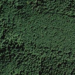 Satellite imagery of Burnt Ridge, US