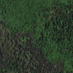 Satellite imagery of Borovac, ME