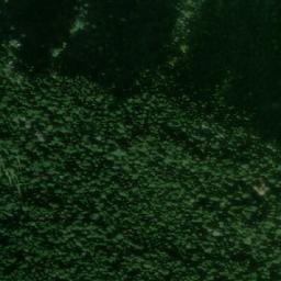Satellite imagery of Mala Kosa, ME