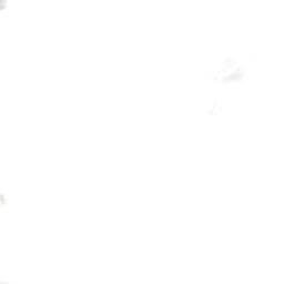 Satellite imagery of Cigansko Brdo, ME