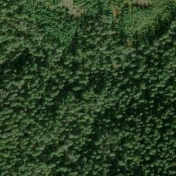 Satellite imagery of Rhododendron Ridge, US