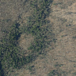 Satellite imagery of Beech Ridge, US