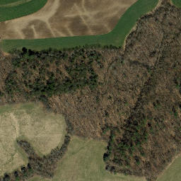 Satellite imagery of Palmer Ridge, US