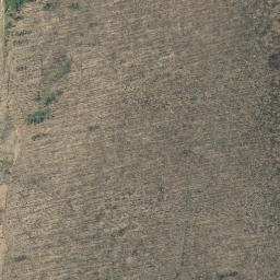 Satellite imagery of Beech Ridge, US