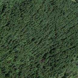 Satellite imagery of Negro Ridge, US