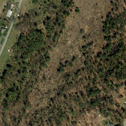 Satellite imagery of Palmer Ridge, US
