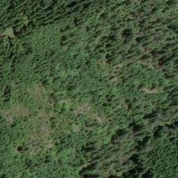 Satellite imagery of Negro Ridge, US