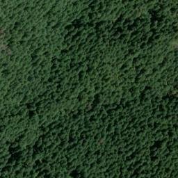 Satellite imagery of Clover Ridge, US