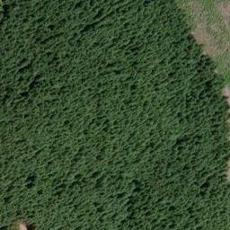 Satellite imagery of Negro Ridge, US