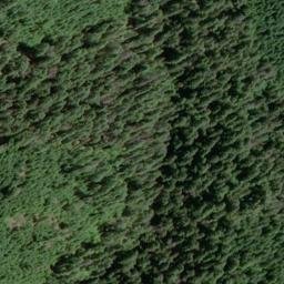 Satellite imagery of Negro Ridge, US