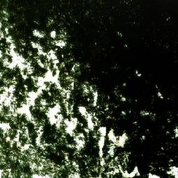 Satellite imagery of Kom, BG