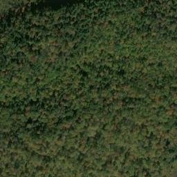 Satellite imagery of Dolgeville Point, US