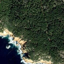 Satellite imagery of R, FR