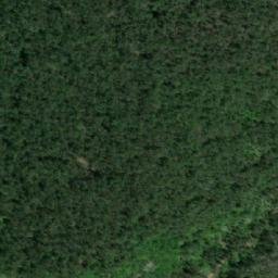 Satellite imagery of Golyamata Polyana, BG